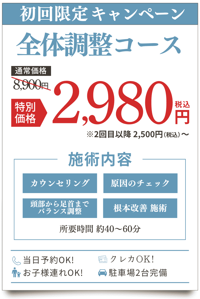 初回限定キャンペーン料金