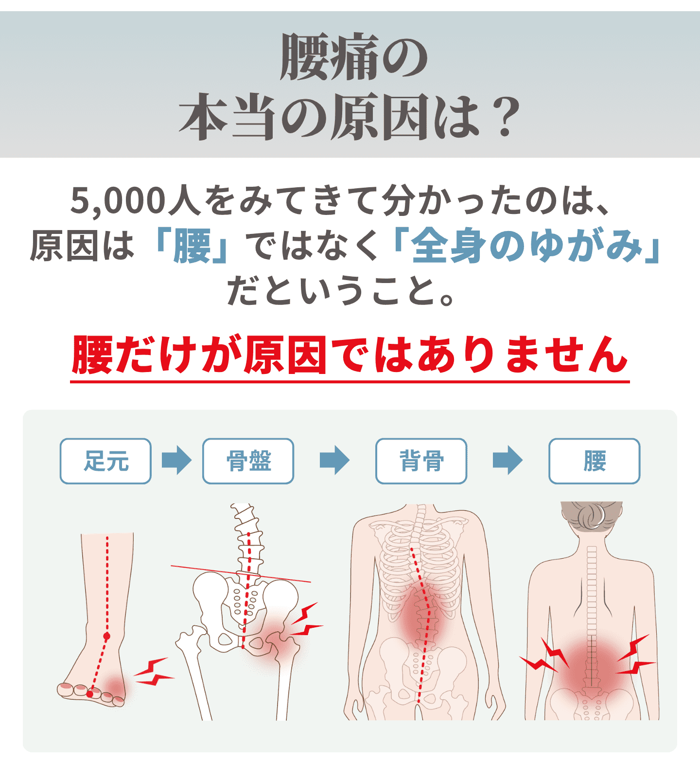 腰痛の本当の原因は?
